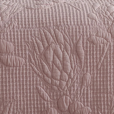 Logan and Mason Platinum Flourish Quilt Cover Set Rose