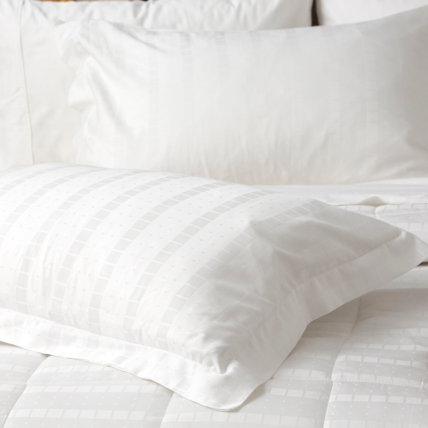Damask Comforter sets Cotton Jacquard White
